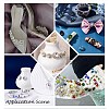 Sew on Rhinestone GLAA-N048-001B-02-4