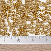 MIYUKI Delica Beads X-SEED-J020-DB1681-4