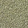 MIYUKI Delica Beads SEED-X0054-DB1181-3