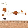 Natural Amber Nuggets Dangle Earrings EJEW-JE07523-5