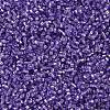 MIYUKI Delica Beads X-SEED-J020-DB1347-4