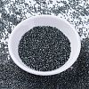 MIYUKI Delica Beads X-SEED-J020-DB2166-2
