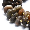 Natural Blcak Moonstone Beads Strands G-K245-H07-01-3