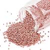 MIYUKI Delica Beads X-SEED-J020-DB2503-1