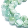 Natural Glass Beads Strands G-K245-A13-04-3