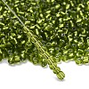 6/0 Glass Seed Beads X2-SEED-A005-4mm-24-4