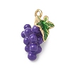 Fruit Theme Alloy Enamel Pendants LS-PALLOY-P314-01B-G-1