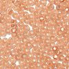 8/0 Glass Seed Beads SEED-Z001-C-E10-3