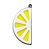 Opaque Resin Big Pendants LS-SACR-F011-04F-1