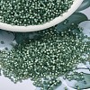 MIYUKI Delica Beads SEED-X0054-DB2190-1
