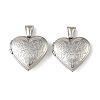 316 Stainless Steel Locket Pendants STAS-K321-20P-1