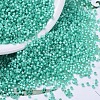 MIYUKI Delica Beads X-SEED-J020-DB0627-1