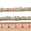 Handmade Lampwork Beads Strands BLOW-K001-01B-01-3