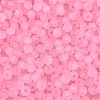 FGB Frosted Transparent Glass Seed Beads SEED-N013-04A-05-3