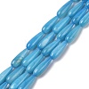 Natural Freshwater Shell Beads Strands SHEL-A004-03C-1