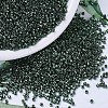 MIYUKI Delica Beads SEED-X0054-DB0458-1