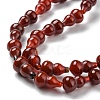 Natural Agate Beads Strands G-C039-C01-4
