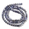 Natural Tanzanite Beads Strands G-G161-A14-03-3