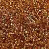 TOHO 6/0 Round Beads X-SEED-TR06-0022B-3