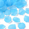 Transparent Frosted Acrylic Pendants MACR-S371-01A-755-1