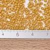 MIYUKI Delica Beads SEED-J020-DB2285-4