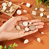  36Pcs 9 Style Ash Wood Stud Earring Findings EJEW-TA0001-23-14