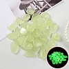 Resin Luminous Glow in the Dark Pebbles Stone PW-WG30806-07-1