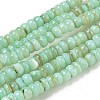 Dyed Natural Freshwater Shell Beads Strands BSHE-G039-07E-1