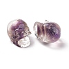 Natural Amethyst Dyed Chips Beads G-E185-14-3