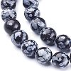 Olycraft Natural Snowflake Obsidian Beads Strands G-OC0001-49-4