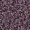 MIYUKI Round Rocailles Beads SEED-X0056-RR3543-3