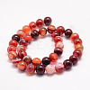 Natural Striped Agate/Banded Agate Bead Strands G-K155-B-10mm-01-2