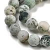 Natural Tree Agate Frosted Agate Round Gemstone Beads Strands X-G-O151-01-6mm-3