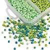 1900Pcs 5 Colors Baking Paint Glass Seed Beads SEED-YW0001-76D-3