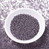 MIYUKI Delica Beads SEED-X0054-DB1205-2