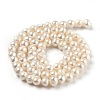 Natural Cultured Freshwater Pearl Beads Strands PEAR-J005-03-01-3