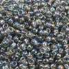 TOHO 6/0 Round Beads X-SEED-TR06-0176-3