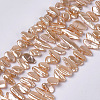 Electroplate Shell Pearl Beads Strands SSHEL-S261-01-2