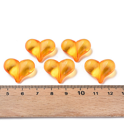 Transparent Acrylic Beads MACR-S373-70-B16-1