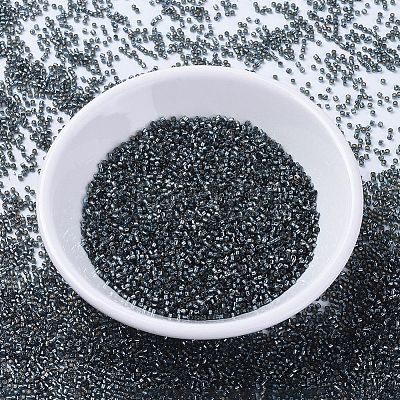 MIYUKI Delica Beads X-SEED-J020-DB2166-1