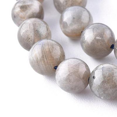 Natural Labradorite Beads Strands X-G-G212-8mm-23-1