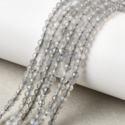 Natural Labradorite Beads Strands G-H336-A08-02-1