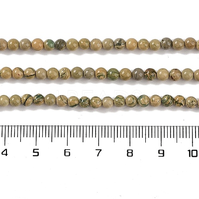 Natural Verdite Stone Beads Strands G-P530-B07-01-1