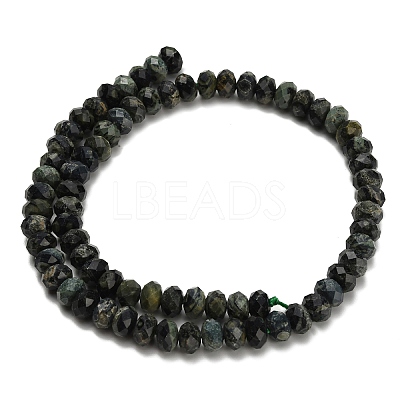 Natural Kambaba Jasper Beads Strands G-Z111-A14-02-1