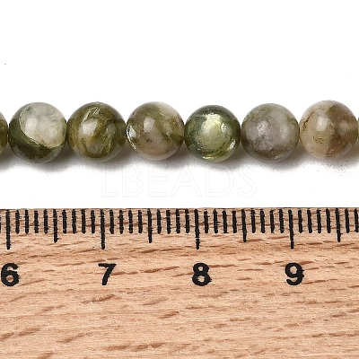 Natural Green Lepidolite Beads Strands G-K350-B01-6mm-1