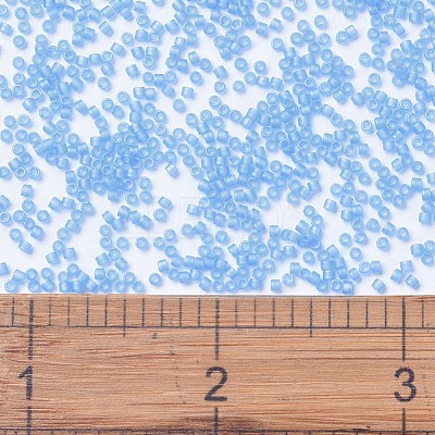 MIYUKI Delica Beads X-SEED-J020-DB1284-1