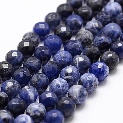 Natural Sodalite Beads Strands G-D840-19-6mm-1