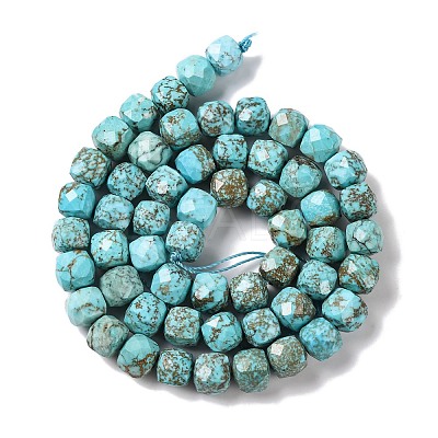 Natural Howlite Beads Strands G-G001-B03-02-1