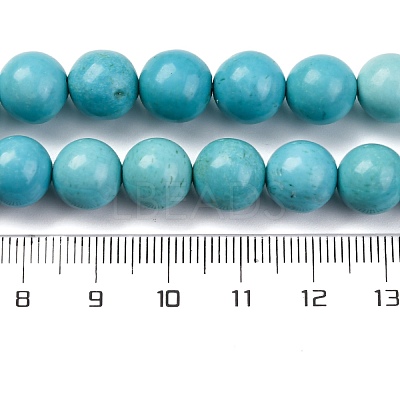 Dyed Natural Magnesite Beads Strands G-P558-A01-01B-1