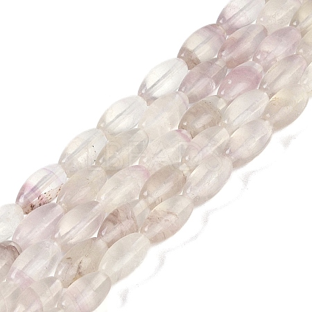 Natural Fluorite Beads Strands G-K362-I11-06-1